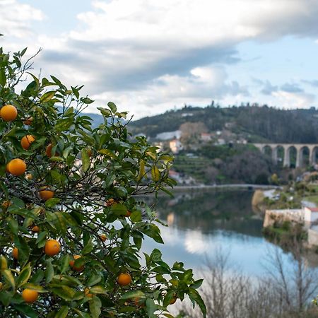 히바 도우로 Casa Da Torre, Porto Manso 빌라 외부 사진