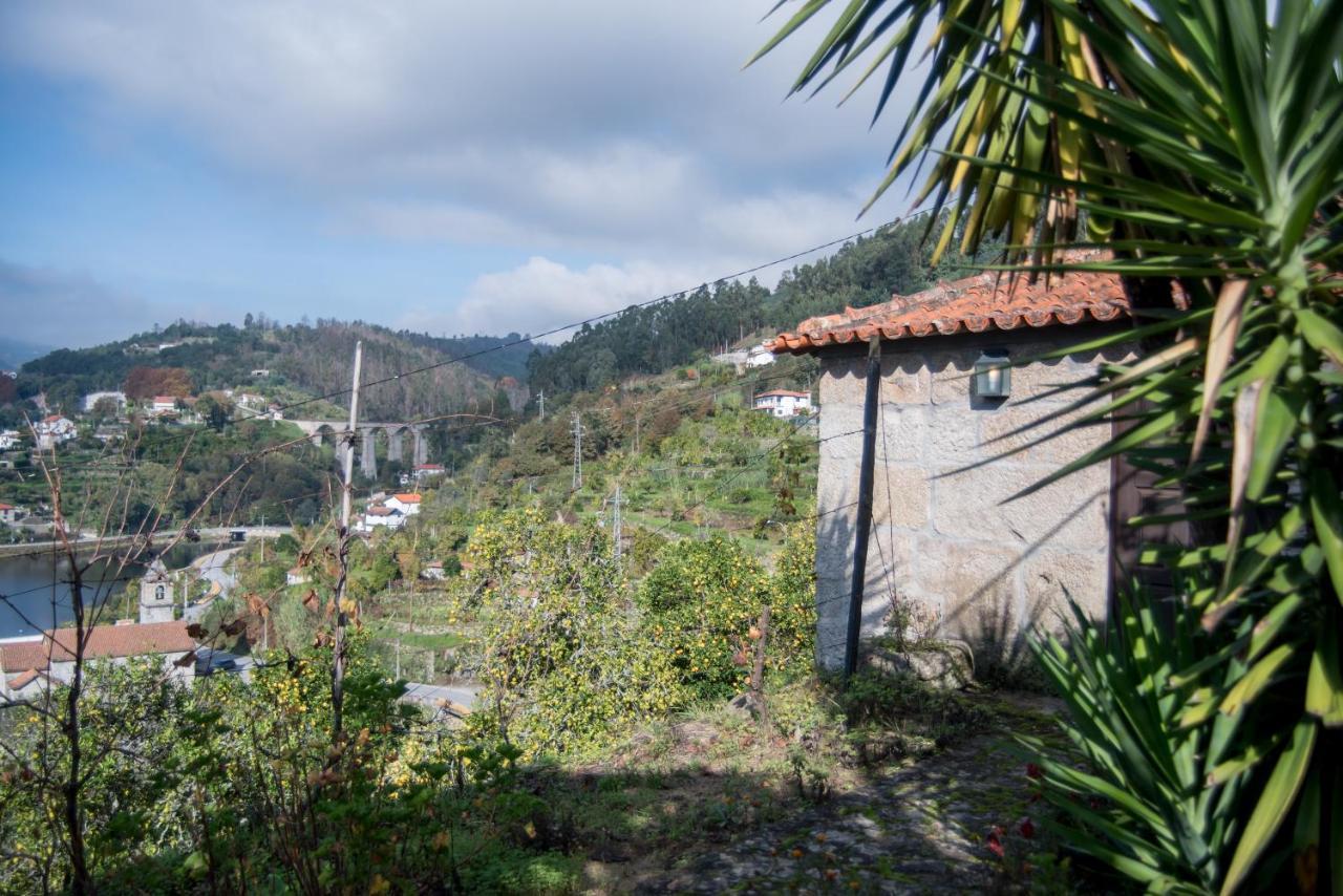 히바 도우로 Casa Da Torre, Porto Manso 빌라 외부 사진