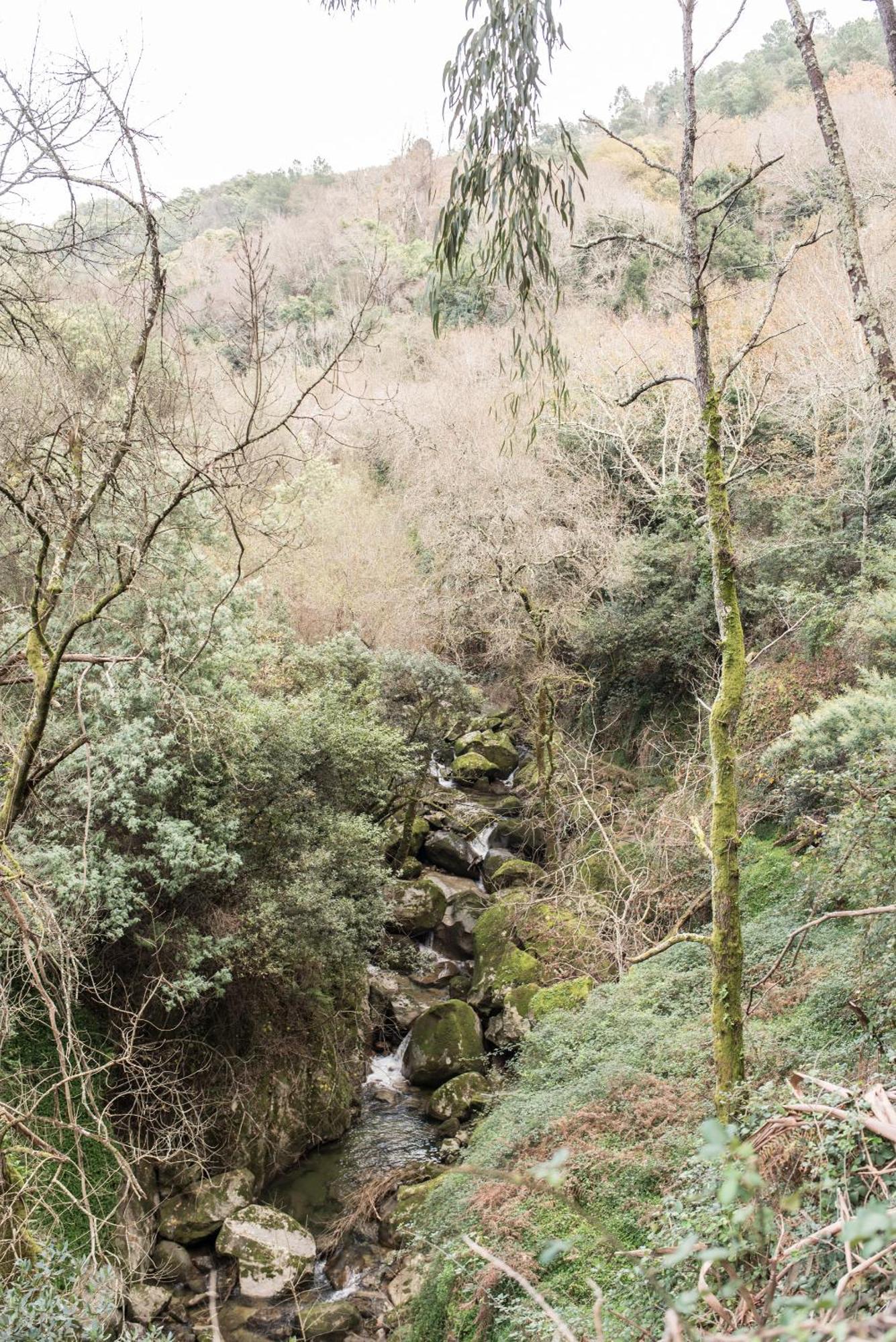히바 도우로 Casa Da Torre, Porto Manso 빌라 외부 사진
