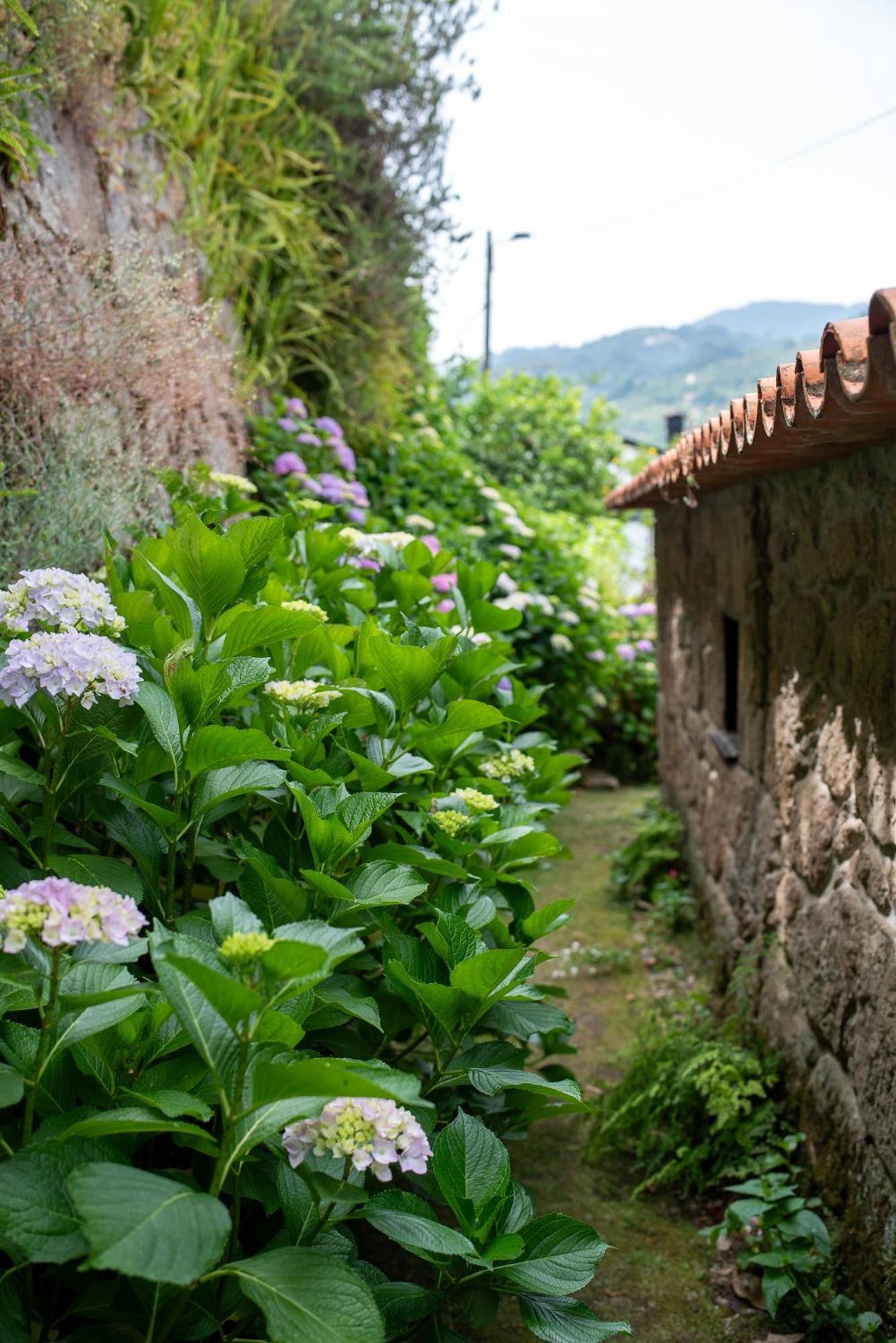 히바 도우로 Casa Da Torre, Porto Manso 빌라 외부 사진