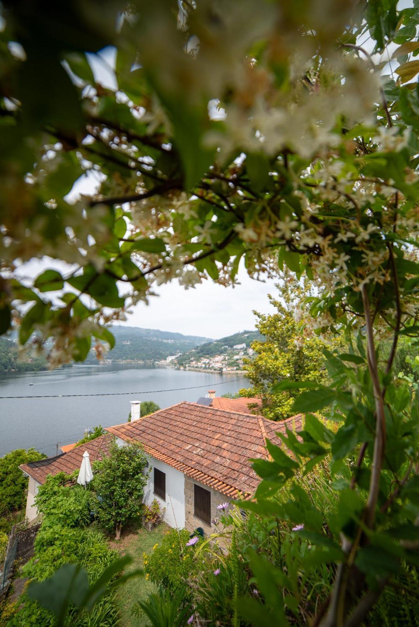히바 도우로 Casa Da Torre, Porto Manso 빌라 외부 사진